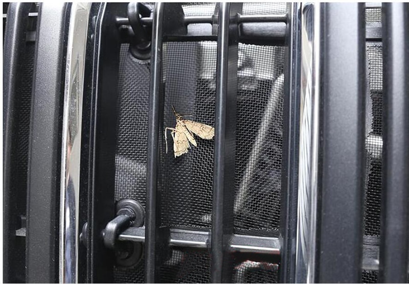 Toyota Land Cruiser Prado 150 Mesh Front Grille Insert Toyota Land Cruiser Prado 150 Mesh Front Grille Insert